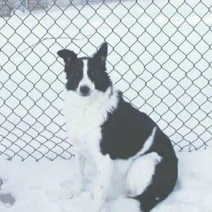 Meet your Posher, Liana